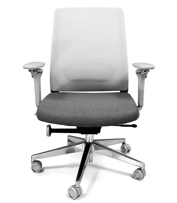 Alfa Gris Ejecutivo